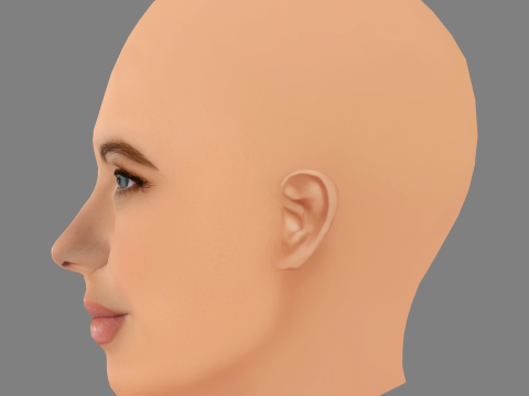 Голова Ешлі Бенсон - без волосся - низькополігональна голова для гри 3D Модель