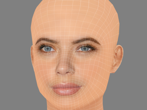 Голова Ешлі Бенсон - без волосся - низькополігональна голова для гри 3D Модель