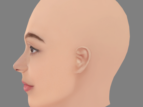 Голова Ешлі Мадекве - без волосся - низькополігональна голова для гри 3D Модель