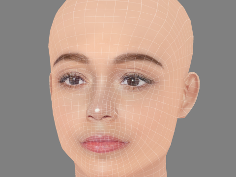 Голова Ешлі Мадекве - без волосся - низькополігональна голова для гри 3D Модель