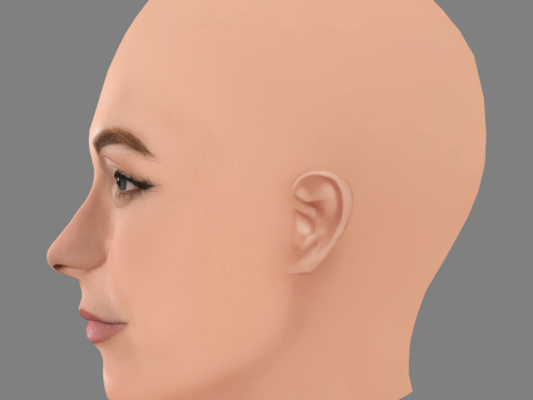 ऐलेट ज़्यूरर हेड - नो हेयर - गेम के लिए लो पॉली हेड 3D मॉडल