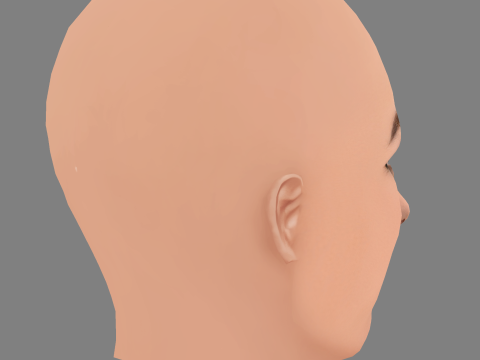 ऐलेट ज़्यूरर हेड - नो हेयर - गेम के लिए लो पॉली हेड 3D मॉडल