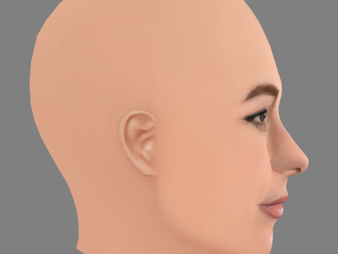 ऐलेट ज़्यूरर हेड - नो हेयर - गेम के लिए लो पॉली हेड 3D मॉडल