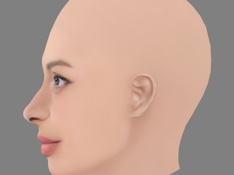Ayesha Dharker Head - No Hair - Low poly head for game 3D Model