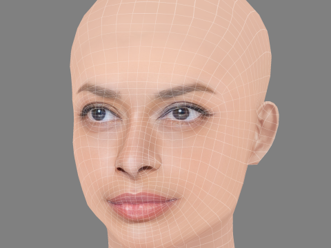 Ayesha Dharker Head - No Hair - Low poly head for game 3D Model