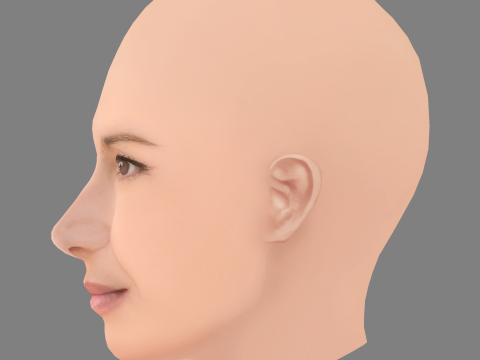 Голова Bahia Haifi — без волос — низкополигональная голова для игры 3D Модель