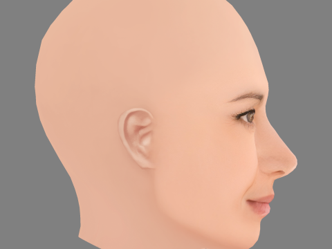 Голова Bahia Haifi — без волос — низкополигональная голова для игры 3D Модель
