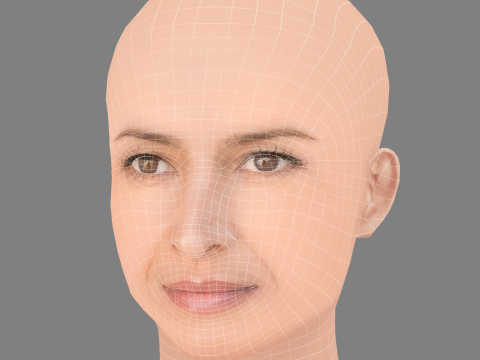 Голова Bahia Haifi — без волос — низкополигональная голова для игры 3D Модель