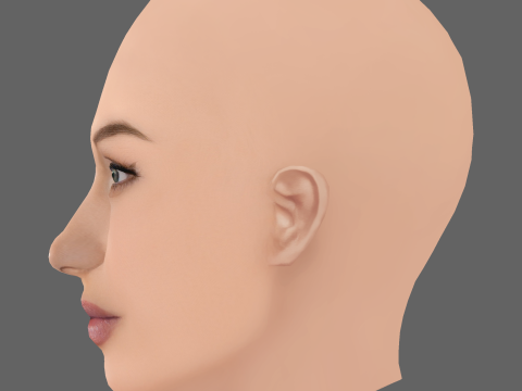 Bella Hadid Head - Tanpa Rambut - Kepala poli rendah untuk permainan Model 3D