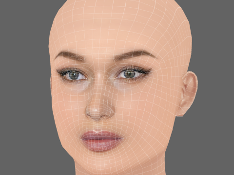 Bella Hadid Head - Tanpa Rambut - Kepala poli rendah untuk permainan Model 3D