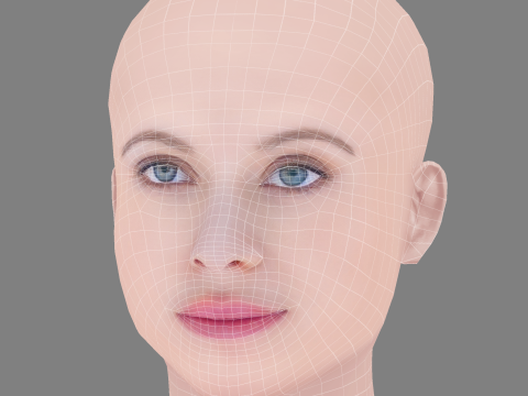 Bonnie Piesse ヘッド - 髪なし - ゲーム用の低ポリヘッド 3Dモデル