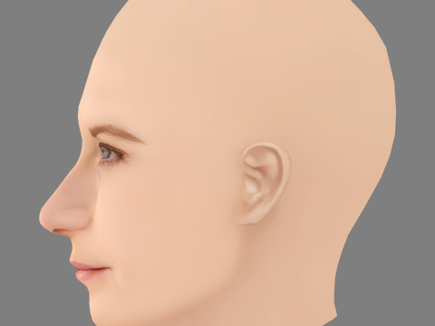 Bonnie Wright Head - No Hair - Low poly head for game 3D Model