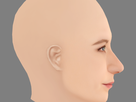 Bonnie Wright Head - No Hair - Low poly head for game 3D Model