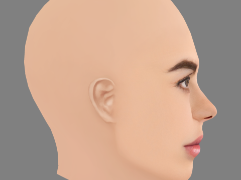 Brooks Nader Head - Sin pelo - Cabeza de baja poli para juego Modelo 3D