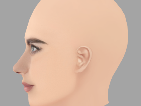 Cabeza de Cara Delevingne - Sin pelo - Cabeza de baja poli para juego Modelo 3D