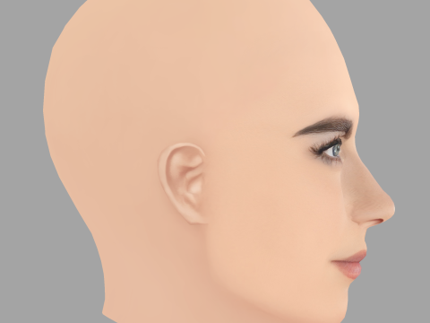 Cabeza de Cara Delevingne - Sin pelo - Cabeza de baja poli para juego Modelo 3D