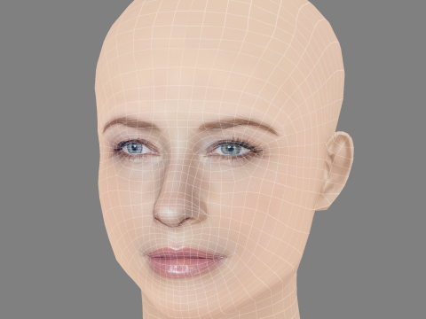 Cate Blanchett Head - No Hair - Low poly head for game 3D Model