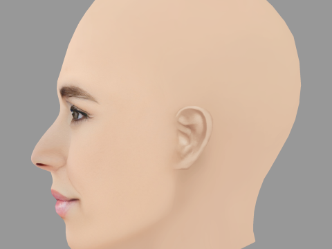 Caterina Murino 헤드 - 머리카락 없음 - 게임용 로우 폴리 헤드 3D 모델