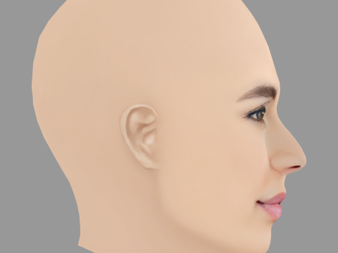 Caterina Murino 헤드 - 머리카락 없음 - 게임용 로우 폴리 헤드 3D 모델