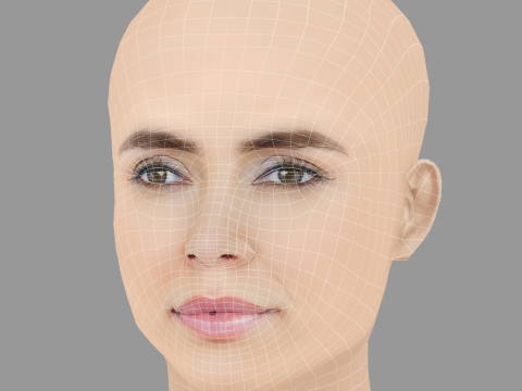 Caterina Murino 헤드 - 머리카락 없음 - 게임용 로우 폴리 헤드 3D 모델