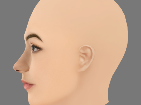 Charli D Amelio Head - No Hair - Low poly head for game 3D Model