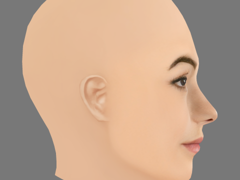 Charli D Amelio Head - No Hair - Low poly head for game 3D Model