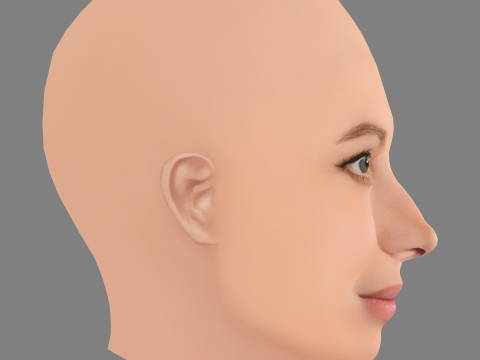 Głowa Christy Turlington - No Hair - Głowa Low Poly do gry Model 3D