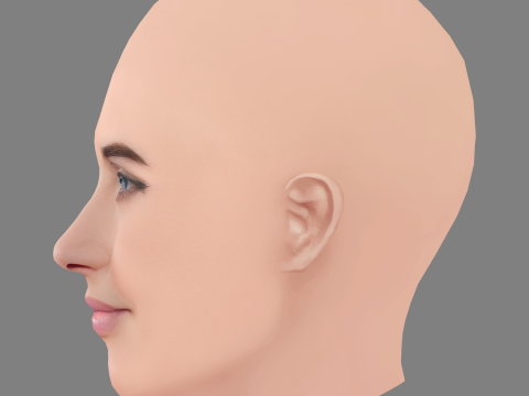 Cobie Smulders Head - No Hair - Low poly head for game 3D Model