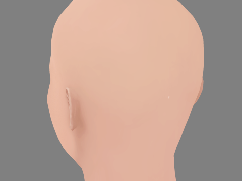 Cobie Smulders Head - No Hair - Low poly head for game 3D Model