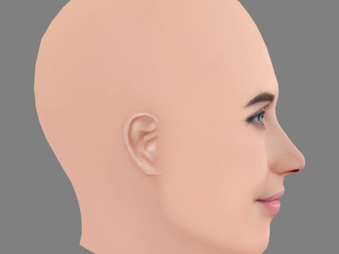 Cobie Smulders Head - No Hair - Low poly head for game 3D Model