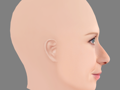 Голова Синтии Никсон - Без волос - Низкополигональная голова для игры 3D Модель