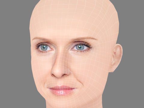 Голова Синтии Никсон - Без волос - Низкополигональная голова для игры 3D Модель