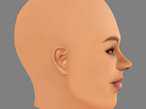Da Vine Joy Randolph Head - No Hair - Low poly head for game 3D Model