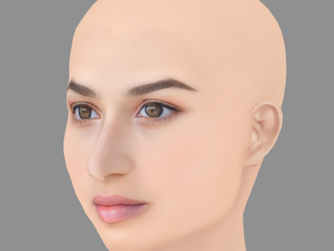 Dana Gaier Head - No Hair - Низкополигональная голова для игры 3D Модель