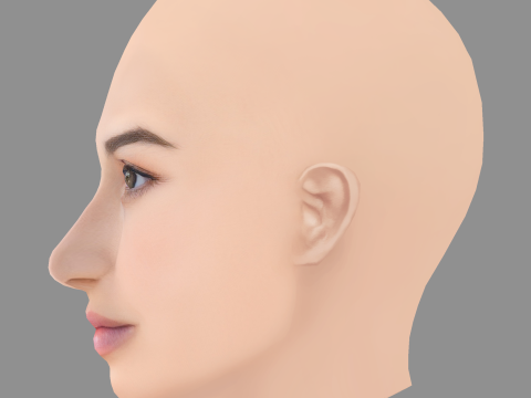 Dana Gaier Head - No Hair - Низкополигональная голова для игры 3D Модель