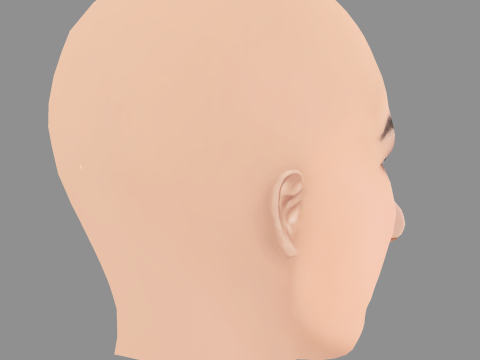 Dana Gaier Head - No Hair - Низкополигональная голова для игры 3D Модель