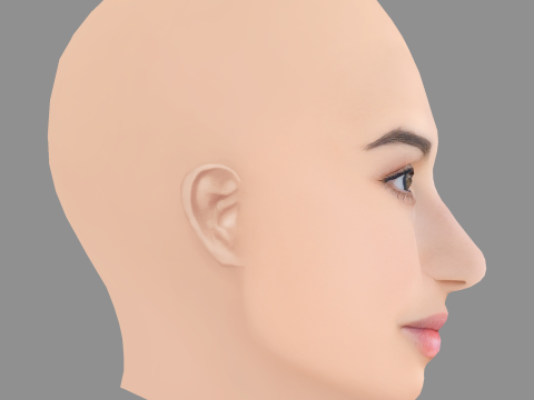 Dana Gaier Head - No Hair - Низкополигональная голова для игры 3D Модель