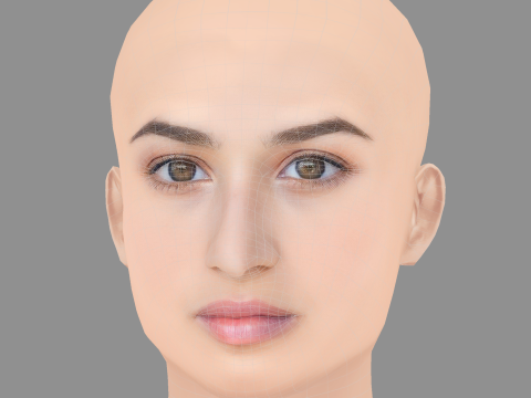 Dana Gaier Head - No Hair - Низкополигональная голова для игры 3D Модель