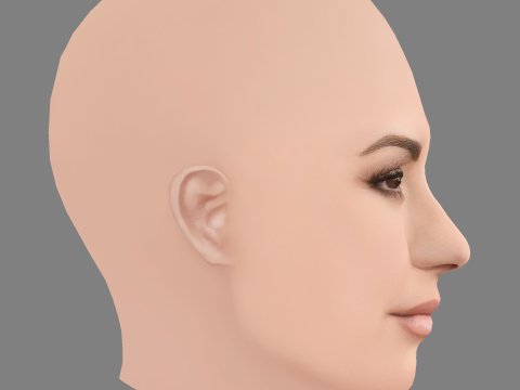 Demi Lovato Head - No Hair - Tête low poly pour le jeu Modèle 3D