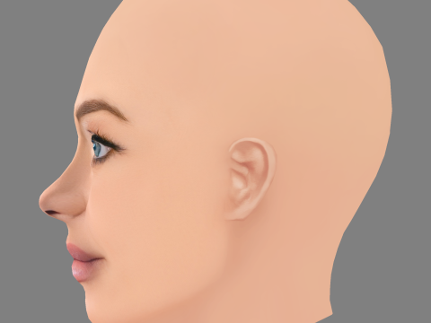 Denise Richards Head - No Hair - Low poly head for game 3D Model