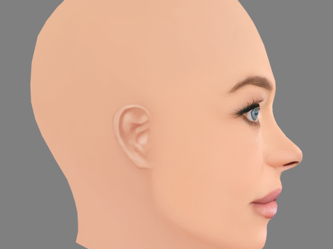 Denise Richards Head - No Hair - Low poly head for game 3D Model