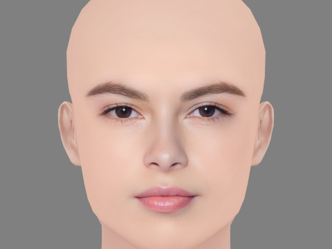 Destiny Rogers Head - No Hair - Low poly head for game 3D Model