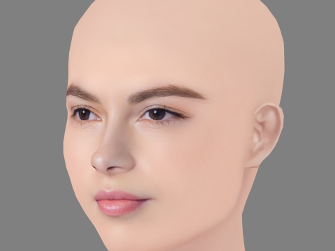Destiny Rogers Head - No Hair - Low poly head for game 3D Model