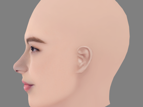 Destiny Rogers Head - No Hair - Low poly head for game 3D Model