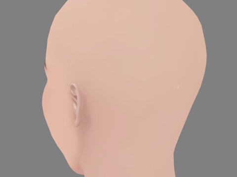 Destiny Rogers Head - No Hair - Low poly head for game 3D Model