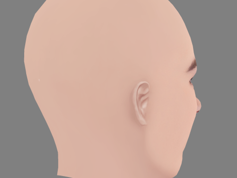 Destiny Rogers Head - No Hair - Low poly head for game 3D Model