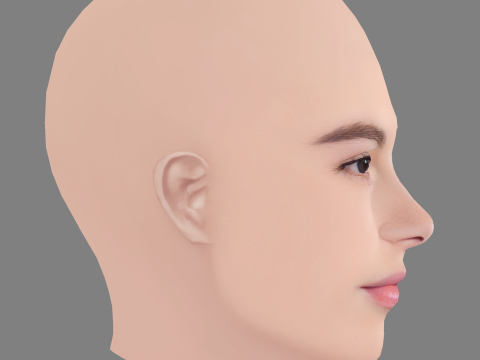 Destiny Rogers Head - No Hair - Low poly head for game 3D Model
