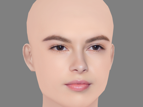Destiny Rogers Head - No Hair - Low poly head for game 3D Model