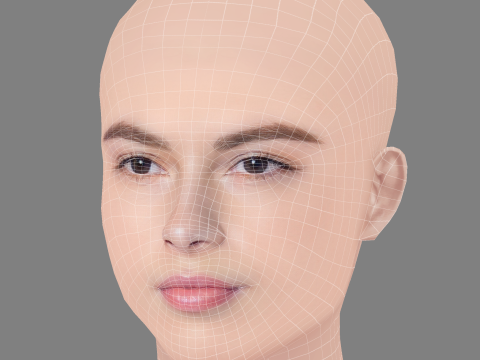 Destiny Rogers Head - No Hair - Low poly head for game 3D Model