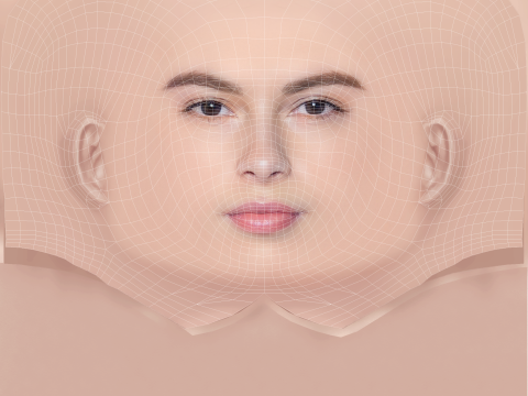 Destiny Rogers Head - No Hair - Low poly head for game 3D Model